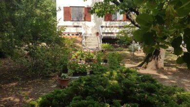 Nagyi Nyaralója Csopak 