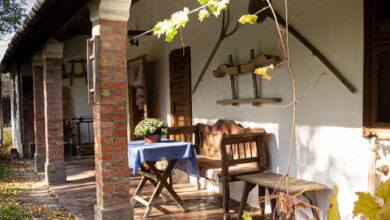 Nagymamám Háza Tiszaszőlős 