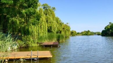 Nándi Vendégház Gyomaendrőd 