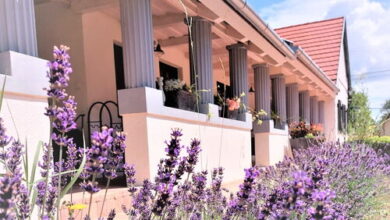 Nanica Vendégház Buzsák 