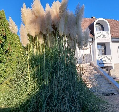 Napfény Villa Balatonfüred 