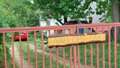 Naplopó-lak Ábrahámhegy 