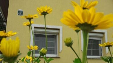 Napocska Vendégház Harkány 