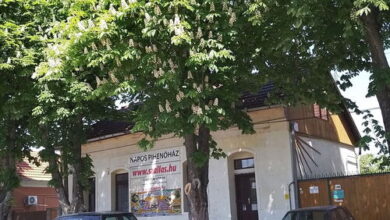 Napos Pihenőház Tiszakécske 