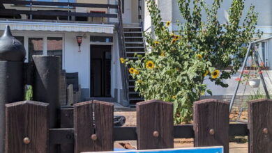 Napraforgó Vendégház Balatonfüred 