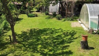 Napraforgó Villa Vonyarcvashegy 