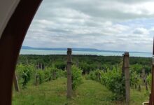 Napraszállás Vendégház Balatonakali 