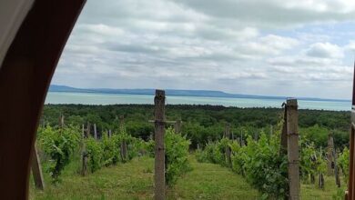 Napraszállás Vendégház Balatonakali 