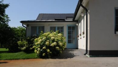 Napsugaras Birtok Röszke 