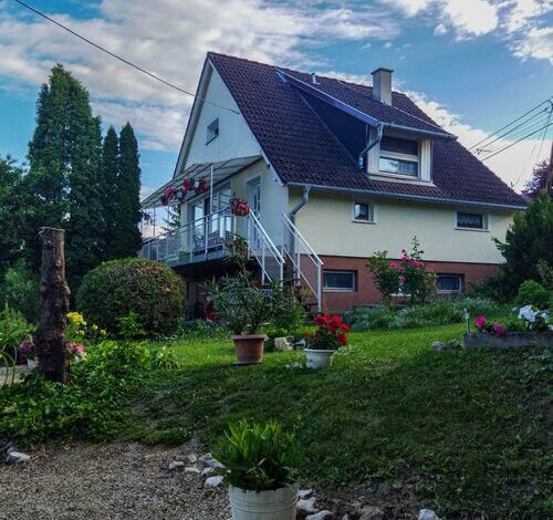 Naszály Kapuja Vendégház Kosd 