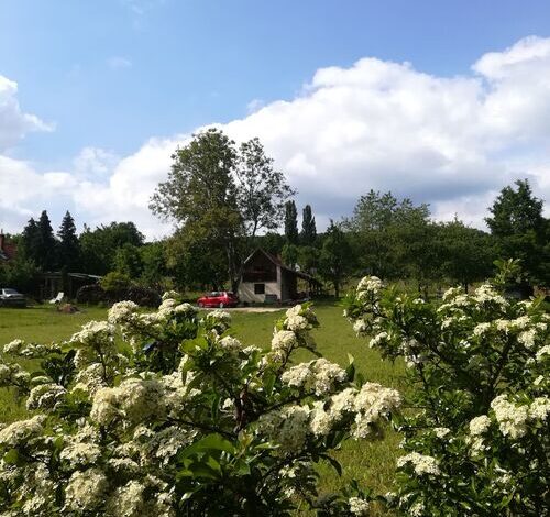 Naturkert Vendégház Várvölgy 