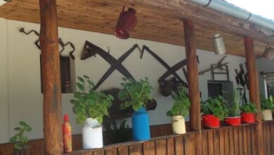 Nefelejcs Vendégház Diósviszló 