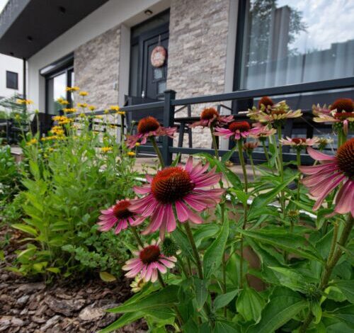 Négy Évszak Apartmanház Gyula 