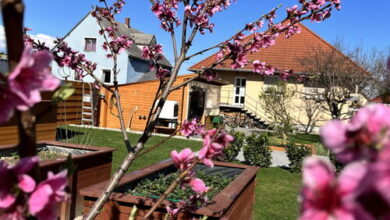 Négy Évszak Vendégház Nyúl 