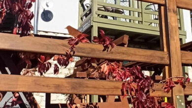 NemCsuri Vendégház Somlóvásárhely 