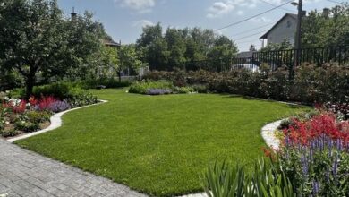 Neon Apartman Csopak 