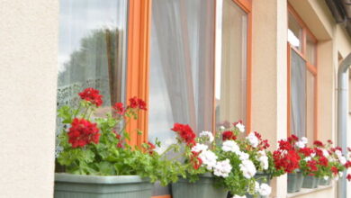 Neuhercz Apartmanok Halászi 