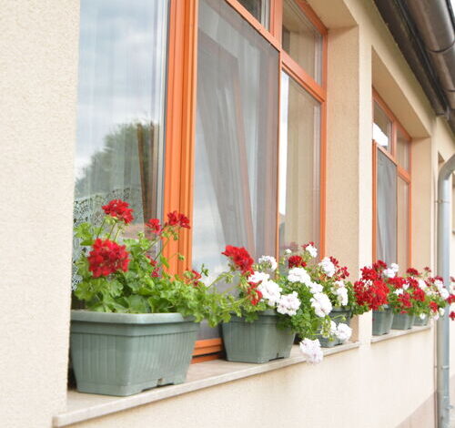 Neuhercz Apartmanok Halászi 