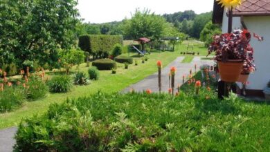 Nika Vendegház az Őrségben Őriszentpéter 