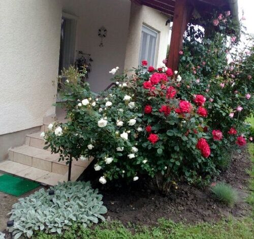 Nikes Üdülőház Balatonkeresztúr 