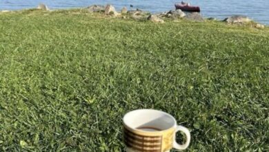 Nina Apartman Fonyód 