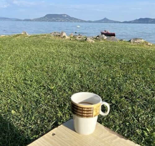 Nina Apartman Fonyód 