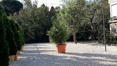 Nira Apartman Balatonfüred 