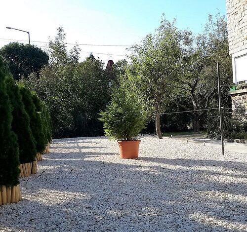 Nira Apartman Balatonfüred 