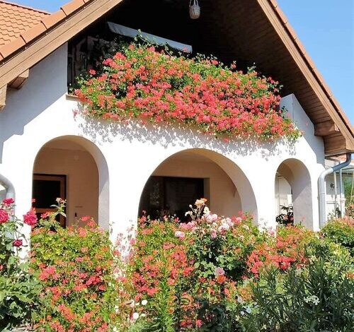 Noé Apartman Várvölgy 