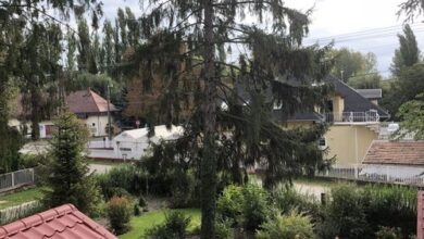 Nóra Nyaraló Ábrahámhegy 