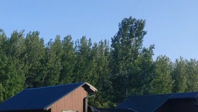 Nőszőfű Vendégházak Tiszaderzs 