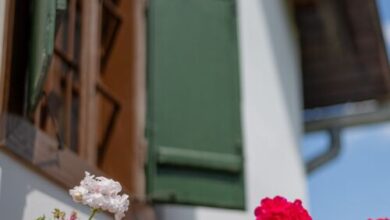 Nózsi-hegyi Vendégház Patca 