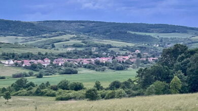 Nyaraló Emberi Szuhogy 