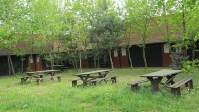 Nyírfaliget Turistaház és Kemping Nyíregyháza 