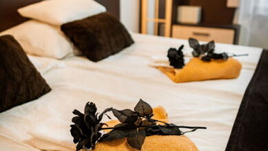 Oázis Panzió Makó 