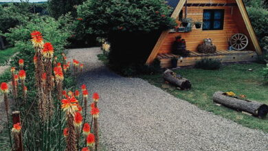 Ódon Vendégház Palotás 