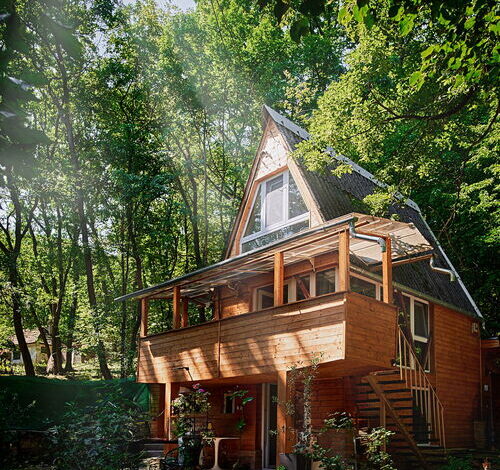 Olive Tree Forest Cabin Original Vendégház Kismaros 