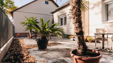 Oliver Apartman Makó 