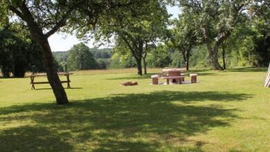 Orbán Porta Szalafő 