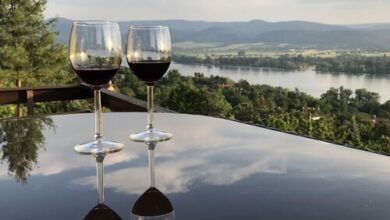 Orchidea Vendégház Zebegény 