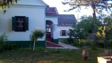 Öregfenyő Porta Őrség Magyarszombatfa 