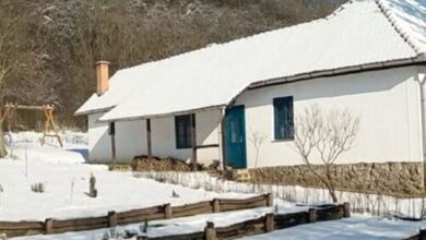 Orgona Ház Szécsény 