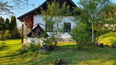 Őrségi Bagoly Vendégház Viszák 