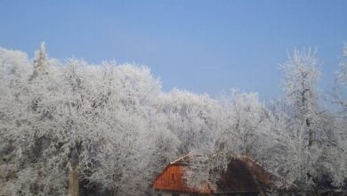 Őrségi Fecskefészek Vendégház Őriszentpéter 