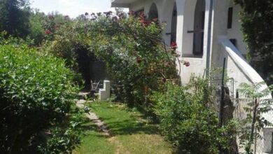 Orsolya Apartman Fonyód-Bélatelep 