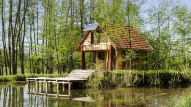 Őze Tó és Faház Bárdudvarnok 