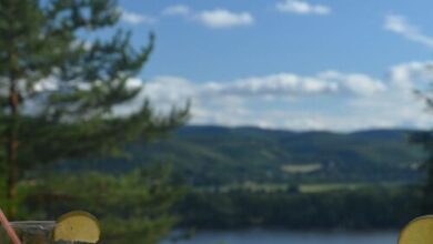 Őzgida Nyaralóház Zebegény 