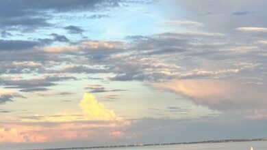 Pacsirta Vendégház Csopak 