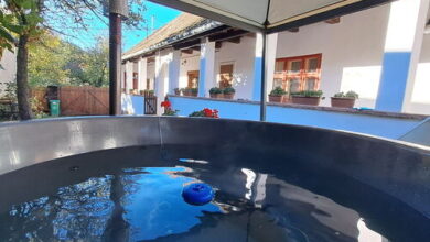 Padláskincsek Muskátlis Vendégház Nagybörzsöny 