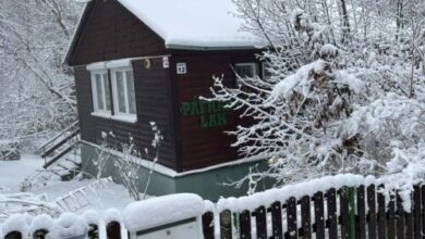 Páfrány-Lak Faház Mátraszentimre 